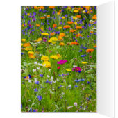 Liebe (Innen (Links))