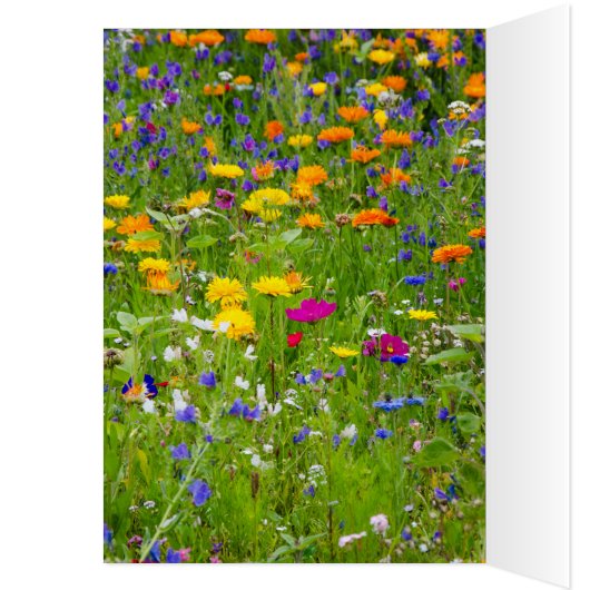 Liebe (Innen (Links))