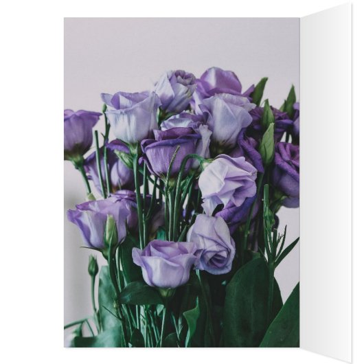 Liebe (Innen (Links))