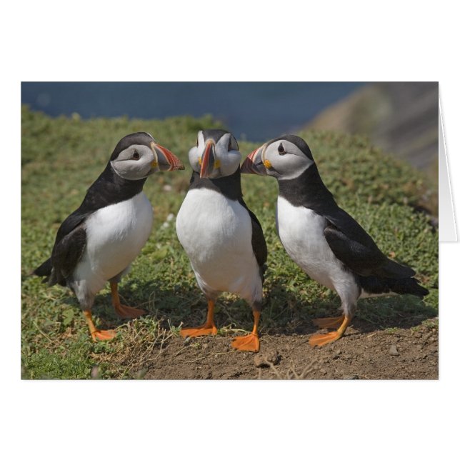 Liebe (Vorderseite (Horizontal))