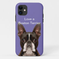Liebe A Boston Terrier