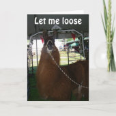 LIEBE A LLAMA...ODER JEMAND ANDERER...SENDE IHM HE KARTE (Vorderseite)