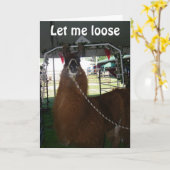 LIEBE A LLAMA...ODER JEMAND ANDERER...SENDE IHM HE KARTE (Gelbe Blume)