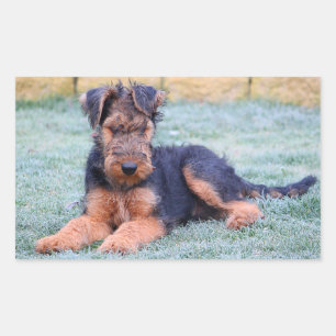 Liebe Airedale Terrier Welpen Hund Aufkleber