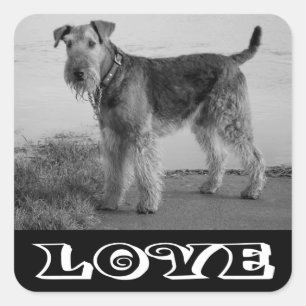 Liebe Airedale Terrier Welpen Hund Aufkleber