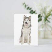 Liebe Alaskan Malamute Welpenhund Postkarte (Stehend Vorderseite)