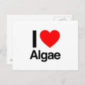 Liebe Algen Postkarte (Vorne/Hinten)