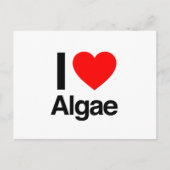 Liebe Algen Postkarte (Vorderseite)
