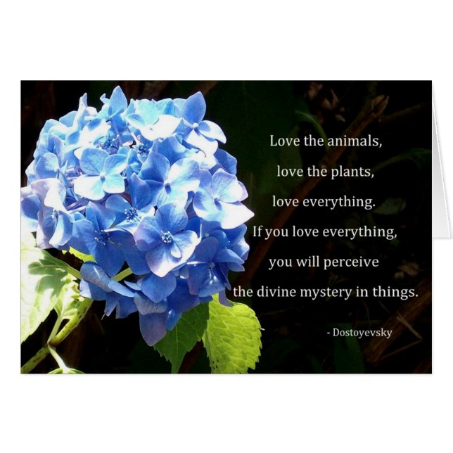 Liebe alles (Vorderseite (Horizontal))