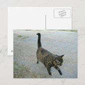 Liebe als kostenlose Postkarte (Vorne/Hinten)