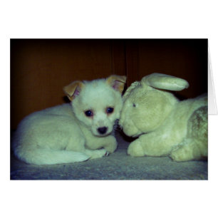 Liebe am ersten Anblick