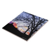 "Liebe am Sonnenuntergang: Verlust einer Katze" Fliese (Seite)