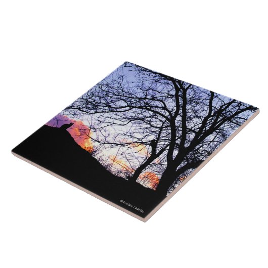 "Liebe am Sonnenuntergang: Verlust einer Katze" Fliese (Seite)