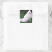 Liebe American Eskimo Puppy Docker / Label Quadratischer Aufkleber (Tasche)