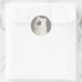 Liebe American Eskimo Puppy Docker / Label Runder Aufkleber (Tasche)