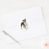 Liebe American Staffordshire Terrier Dog Sticker (Umschlag)