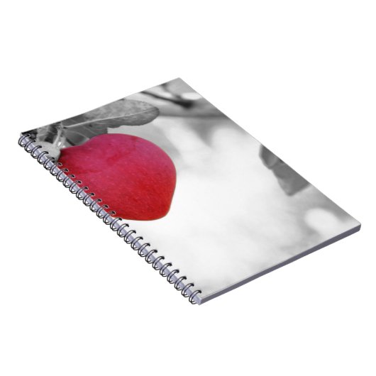 Liebe Apple Notizblock (Rechte Seite)