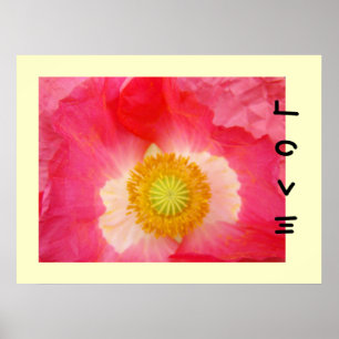 Liebe Art druckt Rotes Orientales Mohn Blume Gelb Poster
