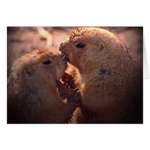 Liebe auf dem Grasland