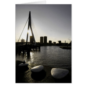 Liebe auf den Felsen