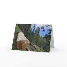 Liebe auf der Grußkarte