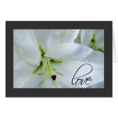 Liebe auf einer Calla-Lilie (Vorderseite (Horizontal))