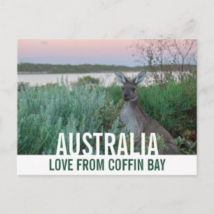 Liebe aus Australien Kangaroo Pink Sunset Lake Postkarte