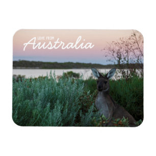Liebe aus Australien Kangaroo Sunset Lake Magnet
