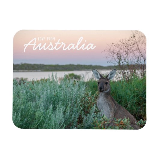 Liebe aus Australien Kangaroo Sunset Lake Magnet (Horizontal)