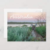 Liebe aus Australien Kangaroo Sunset Lake Postcard Postkarte (Vorne/Hinten)