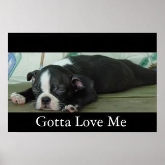 Liebe aus Boston Poster