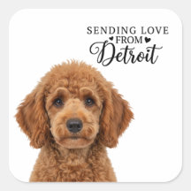 Liebe aus Detroit
