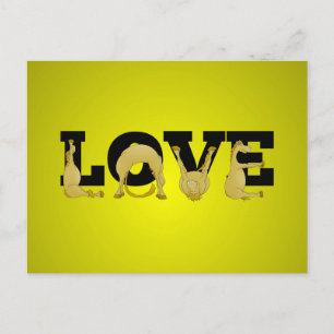 Liebe aus einem sehr flexiblen Pony Postkarte