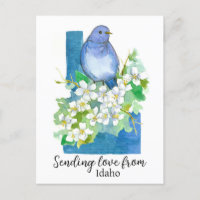 Liebe aus Idaho Bluebird Syringa