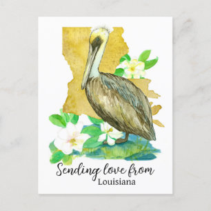 Liebe aus Louisiana Pelican Magnolia Postkarte