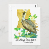 Liebe aus Louisiana Pelican Magnolia Postkarte (Vorne/Hinten)