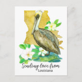 Liebe aus Louisiana Pelican Magnolia Postkarte (Vorderseite)