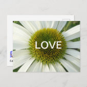 Liebe aus weißer Blume. Postkarte (Vorne/Hinten)