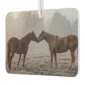 Liebe Autolufterfrischer (Links)