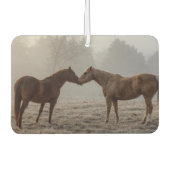 Liebe Autolufterfrischer (Vorderseite)