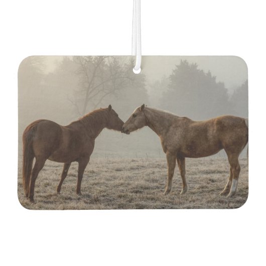 Liebe Autolufterfrischer (Vorderseite)