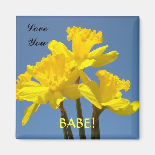 Liebe BABE! Magnet Gelbe Daffodien Frühling (Vorne)