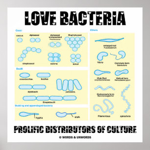 Liebe Bacteria produktive Vertreiber von Kultur Poster