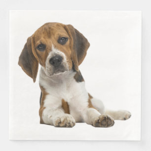 Liebe Beagle Welpen-Hochzeitsfeier Serviette