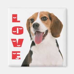 Liebe Beagle Welpen Hund Kühlschrank Magnet
