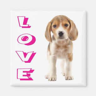 Liebe Beagle Welpen Hund Kühlschrank Magnet