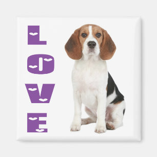 Liebe Beagle Welpen Hund Kühlschrank Magnet
