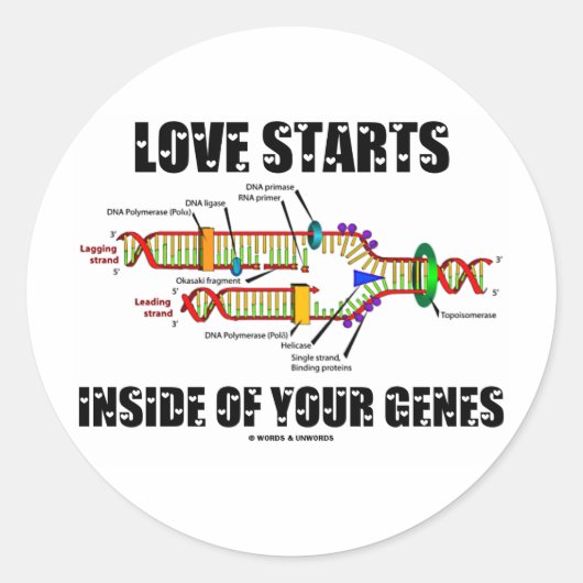 Liebe beginnt innerhalb Ihrer Gene (DNA-Replikatio Runder Aufkleber (Vorderseite)