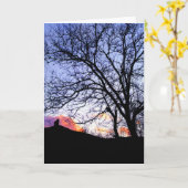 "Liebe bei Sonnenuntergang" Verlust einer Katzensy Karte (Gelbe Blume)