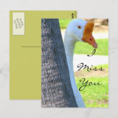 Liebe/beliebiger Fall_Postkarte Postkarte (Vorne/Hinten)